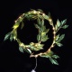 30 Led (3mm) Λαμπάκια Wreath με Διάφανο Καλώδιο (XWGLEAF302A)