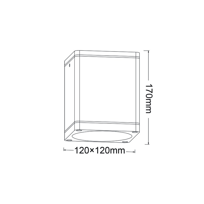 Aca Σποτ Οροφής E27 PAR30 IP65 Χρυσό - Μαύρο (LG2402E27GB)