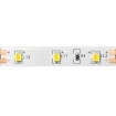 Aca LED Ταινία 25m 4.8W/m 550lm/m 12V DC IP20 2700K 8mm (122835482725M)