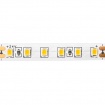 Aca Αδιάβροχη LED Ταινία 5m 9.6W/m 24V DC IP65 Μπλε 8mm (24283596BPC)