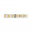 Aca LED Ταινία 5m 9.6W/m 1600lm/m 24V DC IP20 3000K 10mm με SAMSUNG CHIP (24968030)
