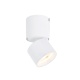 Aca Led Μονόφωτο Φωτιστικό Οροφής - Τοίχου 5W 3000K Λευκό (RA33LEDS6WH)