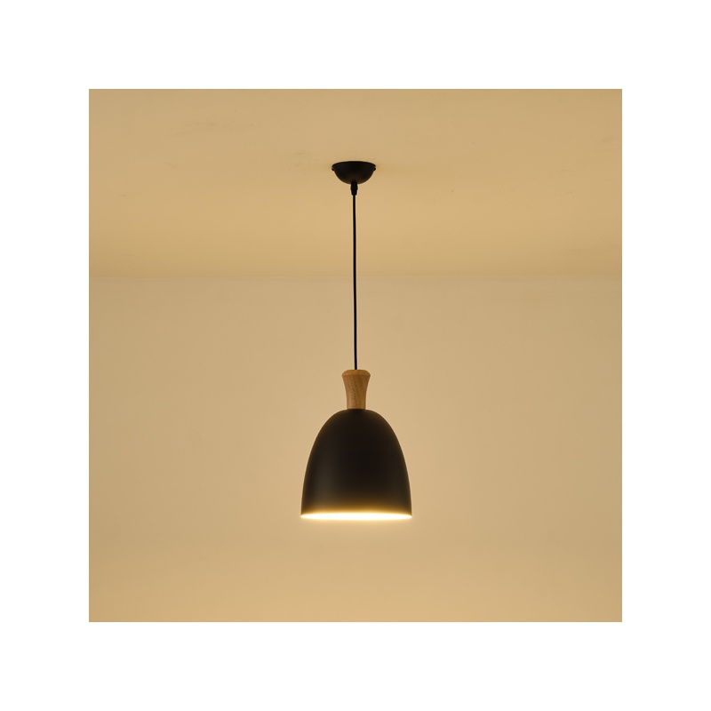 Arte Illumina Φωτιστικό Κρεμαστό Μεταλλικό1XΕ27 Max 15W 230X230mm Μαύρο SIMPLO (144-24123)