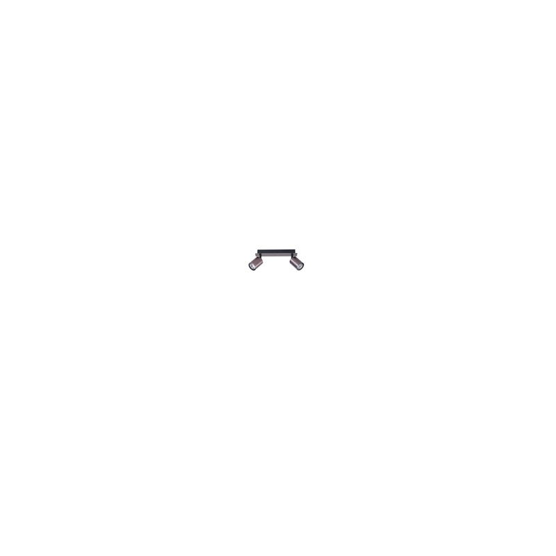 Arte Illumina Σποτ Αλουμινίου Γκρι Δίφωτο 2xGU10 250x80x120mm LUXY (145-25266)