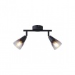 Arte Illumina Σποτ Μεταλλικό με SMOKY ΓΥΑΛ Δίφωτο 2xE14 220x80X165mm CLASSY (145-25271)