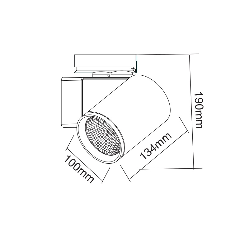 Aca Σποτ ράγας LED COB 2 καλωδίων 40W 4000K Αμμώδες Μαύρο (LISOR4040B2N)