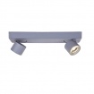 Aca Led Δίφωτο Φωτιστικό Οροφής - Τοίχου 10W 3000K Γκρι (RA33LEDS32GY)
