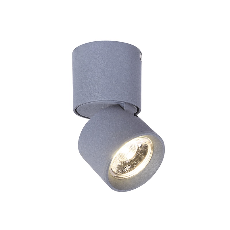Aca Led Μονόφωτο Φωτιστικό Οροφής - Τοίχου 5W 3000K Γκρι (RA33LEDS6GY)