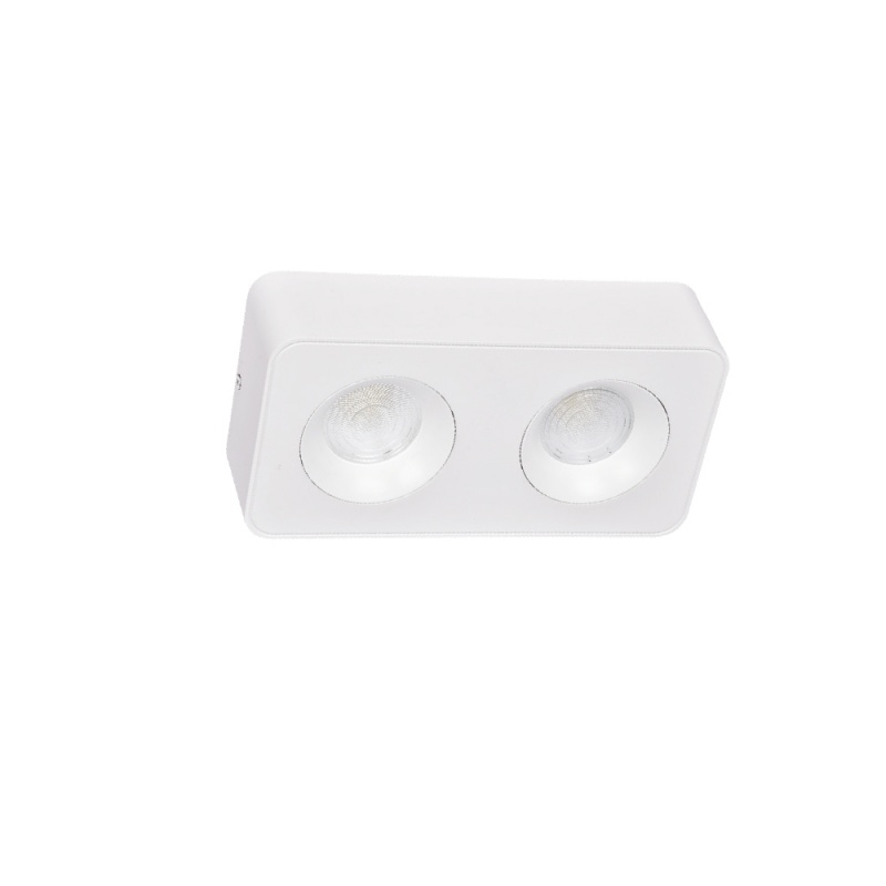 Inlight Downlight Mounted σποτ 2*8W 3CCT σε λευκή απόχρωση (X00270W)