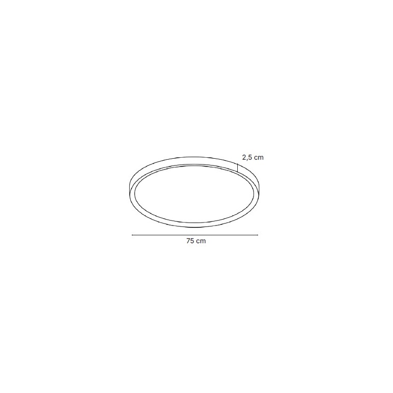 Inlight Πλαφονιέρα οροφής LED 60W 3CCT (by switch on base) σε ασημί απόχρωση D:75x2,5cm (42036-AA-Silver)