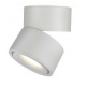 InLight Φωτιστικό Σποτ Οροφής LED 15W, 3CCT, Λευκό, D:10x10,7cm (9095-White)