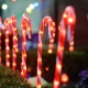 ΓΛΥΦΙΤΖΟΥΡΙΑ 4 40 LED σε Σειρά Σταθερά Θερμό Λευκό 8 Προγράμματα Αντάπτορα 4.5VDC με Καλώδιο Πράσινο 0.5m IP44 1500x25x600mm (X13401413)
