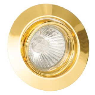 InLight Χωνευτό Στρογγυλό Φωτιστικό Κινητό GU10 Χρυσό (43277)